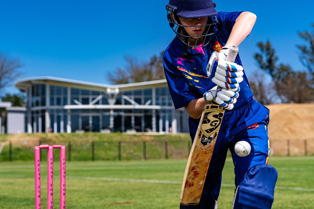 Cricket